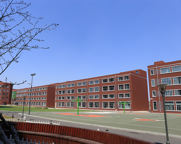 学校环境