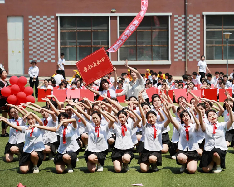 全省第四｜滨才教育2025年职教高考喜报
