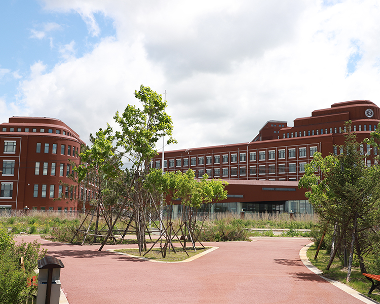 学校环境